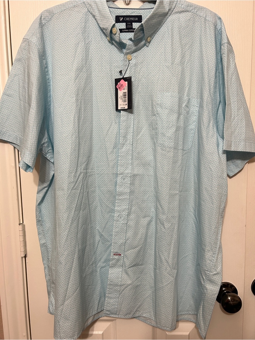 Daniel Cremieux Pale Aqua Supima Cotton Short Sleeve Button-Down Shirt